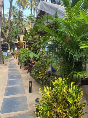 Un sentier bordé de plantes tropicales et de palmiers, qui mène à un bâtiment doté d’une entrée abritée.