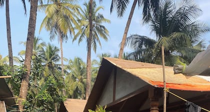 Tropical Bay