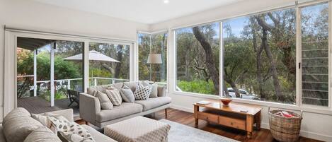 TV, lareira, DVD player