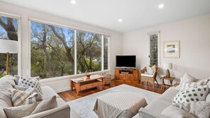 TV, fireplace, DVD player