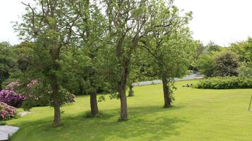 Un espace extérieur verdoyant, avec des arbres et un banc.