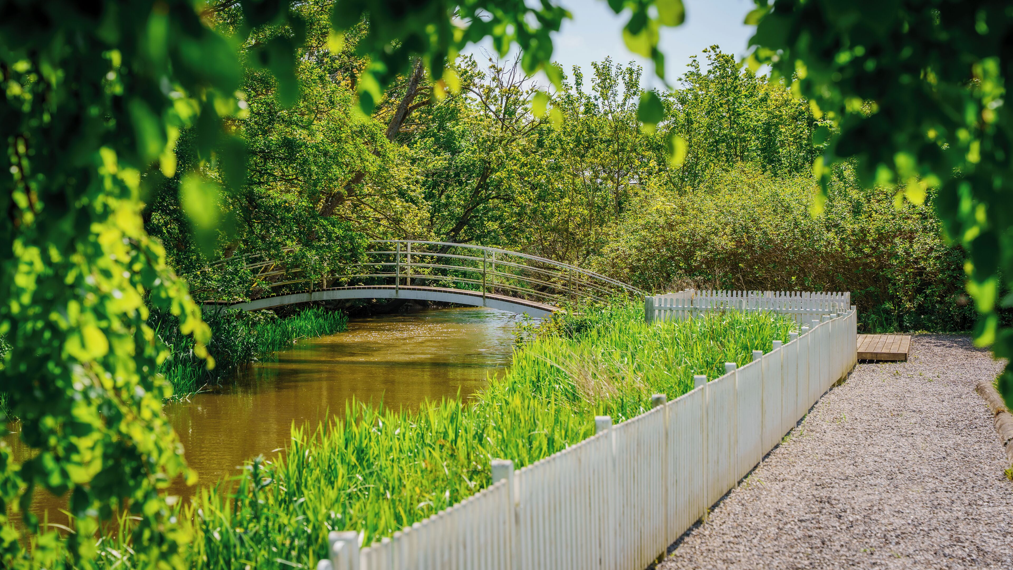 A wooden bridge over a calm river, surrounded by lush greenery and a white fence.