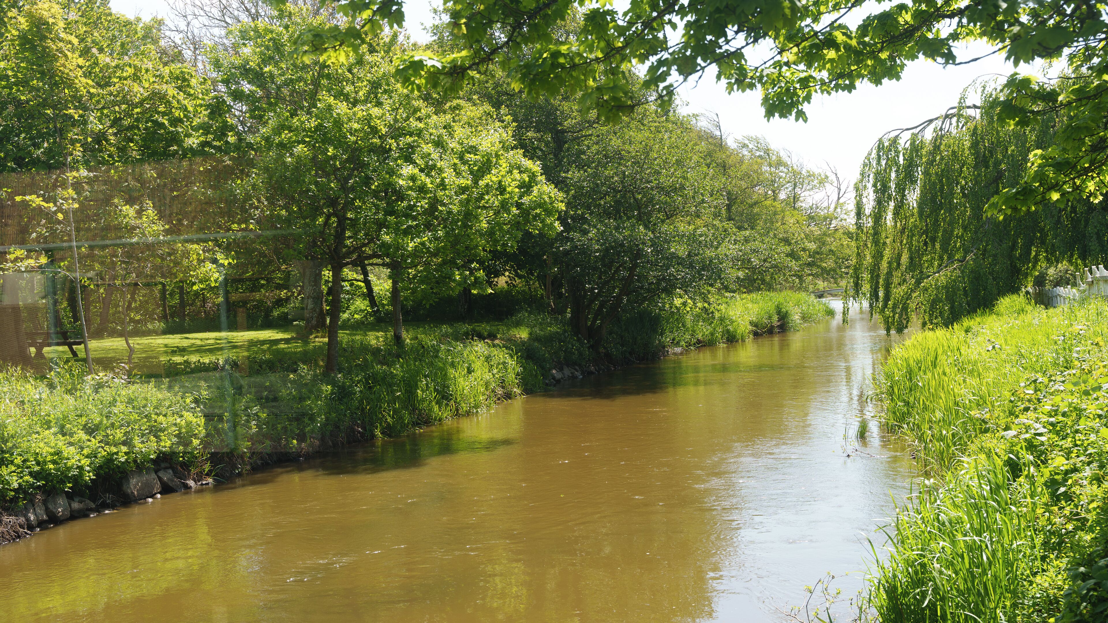 A river with lush greenery and trees on both sides.