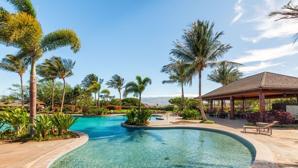 A clear swimming pool surrounded by palm trees and a gazebo.