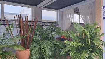 Una habitación con ventilador de techo, una planta en maceta y un sofá.