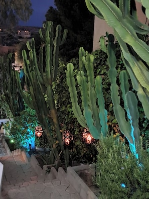 A garden with large cacti and decorative lanterns. - Adults Only Exclusive Mediterranean Private Escape (San Fulgencio)
