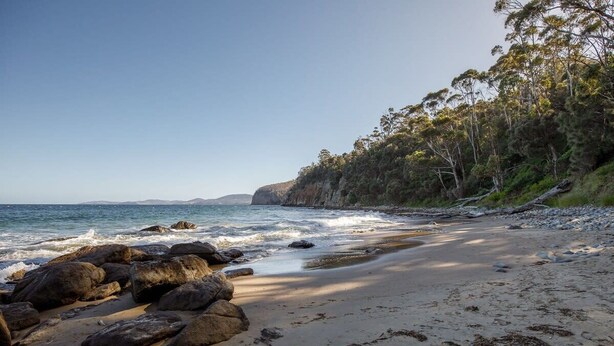 A beach with large rocks, a sandy shore, and a forested cliff. - Architectural Glass House with Breathtaking Ocean Views (Taroona)