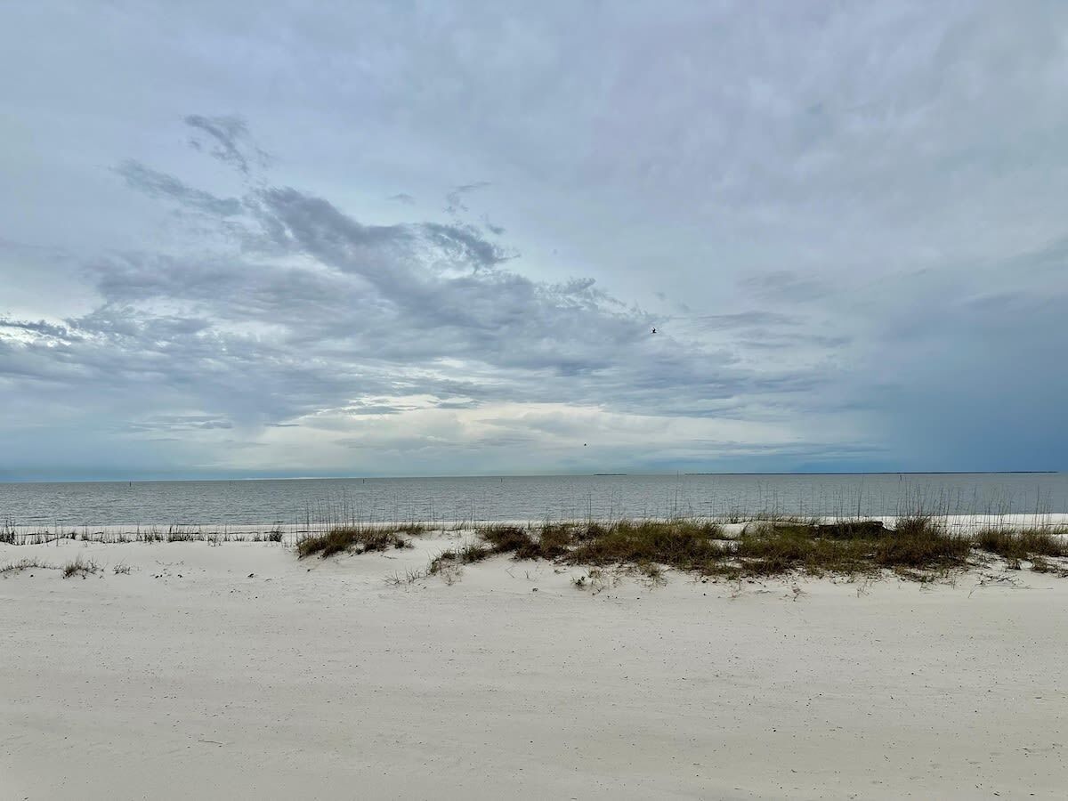 A beach with sand and sparse vegetation.
