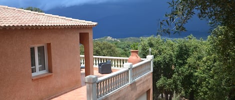 Terras