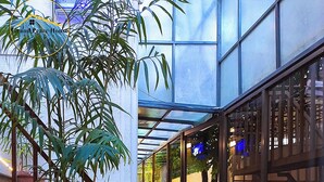 Un edificio moderno con fachada de vidrio, una escalera con barandillas de madera y plantas en macetas.