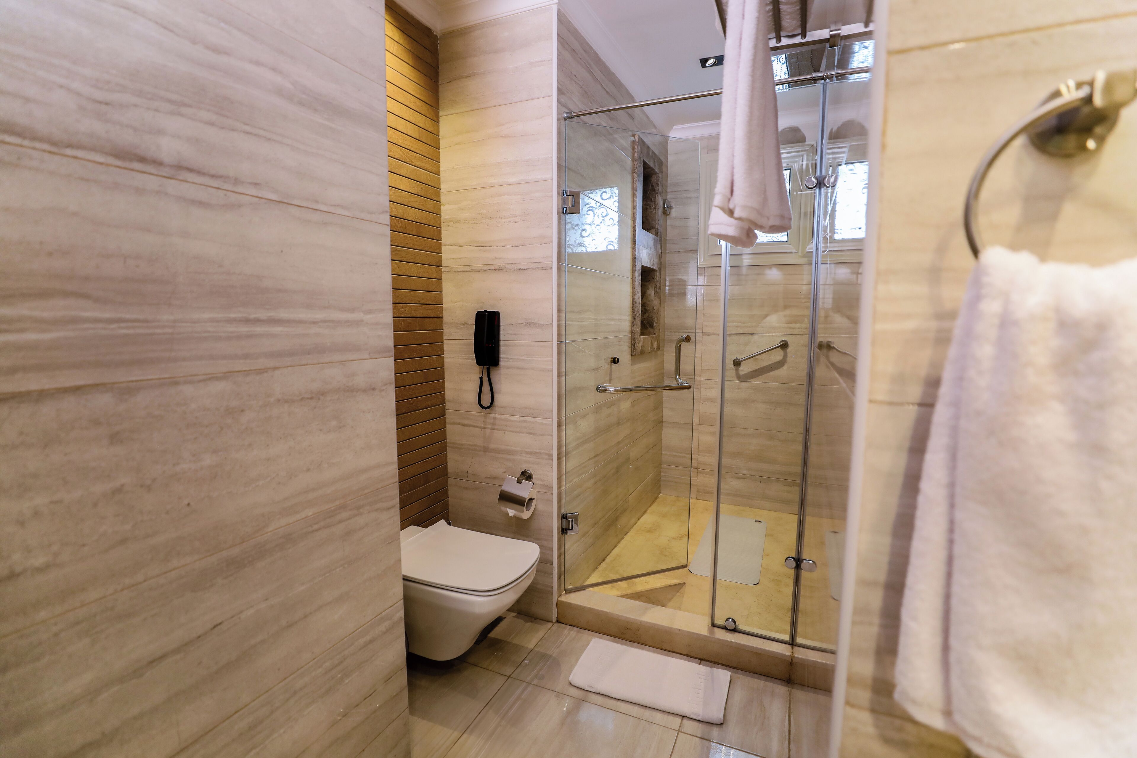 A modern bathroom with a glass-enclosed shower, a toilet, and a wooden vanity.