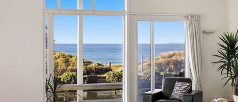 TV, fireplace, books