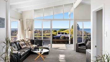 TV, fireplace, books
