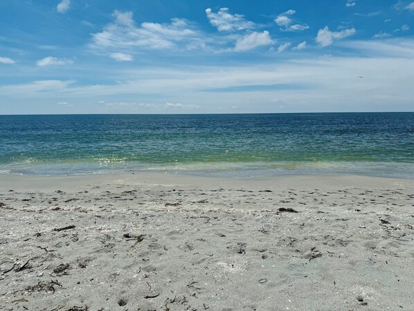 Plage à proximité, chaises longues, serviettes de plage