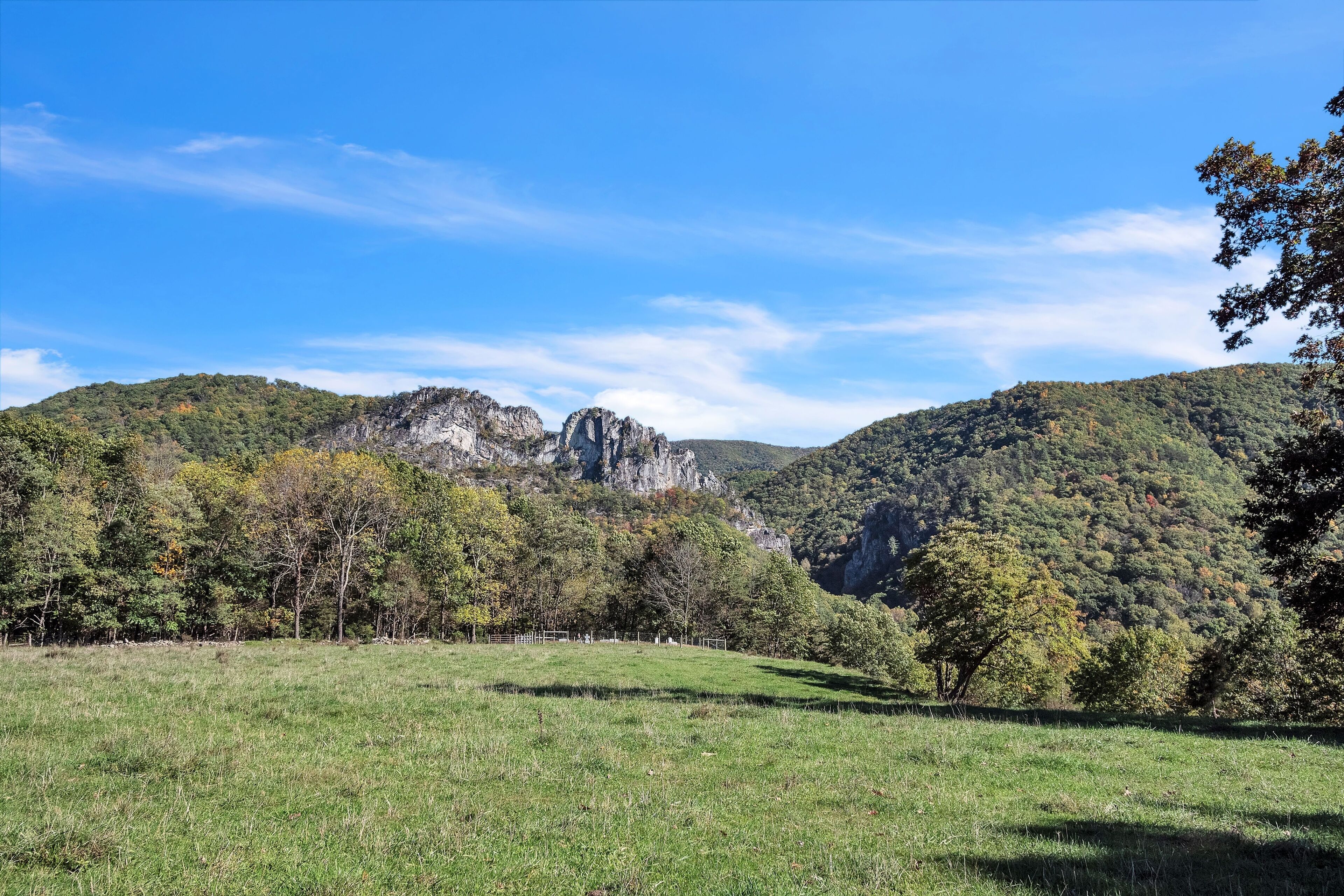 A natural landscape with a grassy field, trees, and rocky hills.