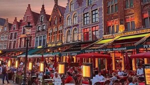 Una calle empedrada flanqueada por edificios de estilo europeo tradicional, cada uno con detalles arquitectónicos y letreros de negocios locales.