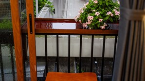 A narrow urban alley with a wooden bench and a potted plant with pink flowers.