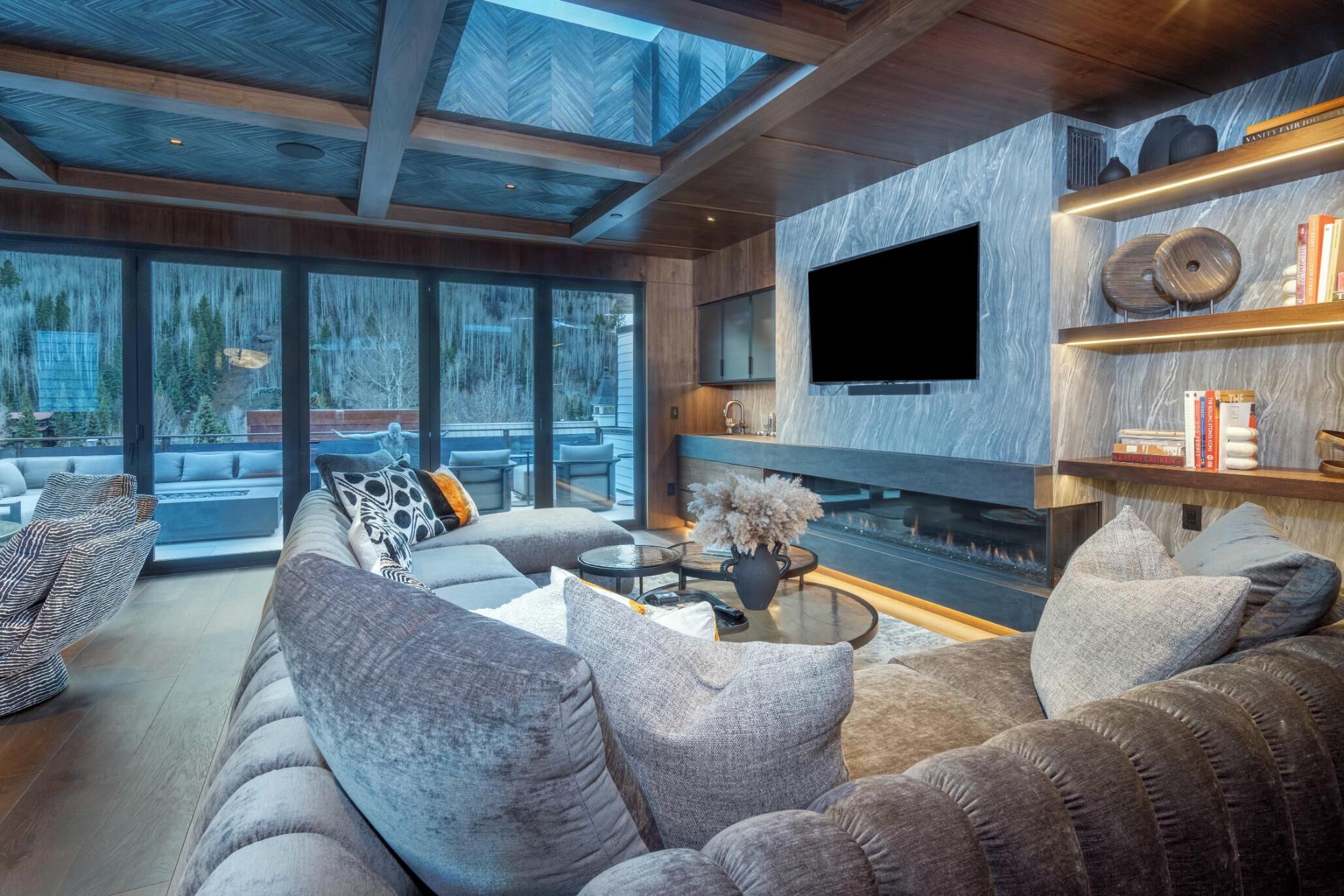 Smart TV, fireplace, books, music library