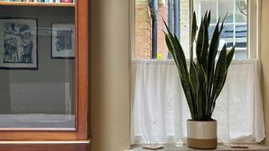 Une pièce avec une fenêtre, un radiateur, une bibliothèque et une plante en pot.