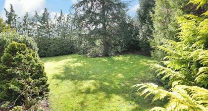 Edwardian Town House - Garden & Cinema