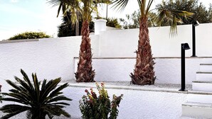 A landscaped outdoor area with palm trees, a small garden, and a white wall.