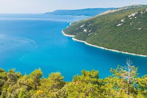 Apartment, Accessible - Seaview House Helena - Apartment 1 (Krsan)