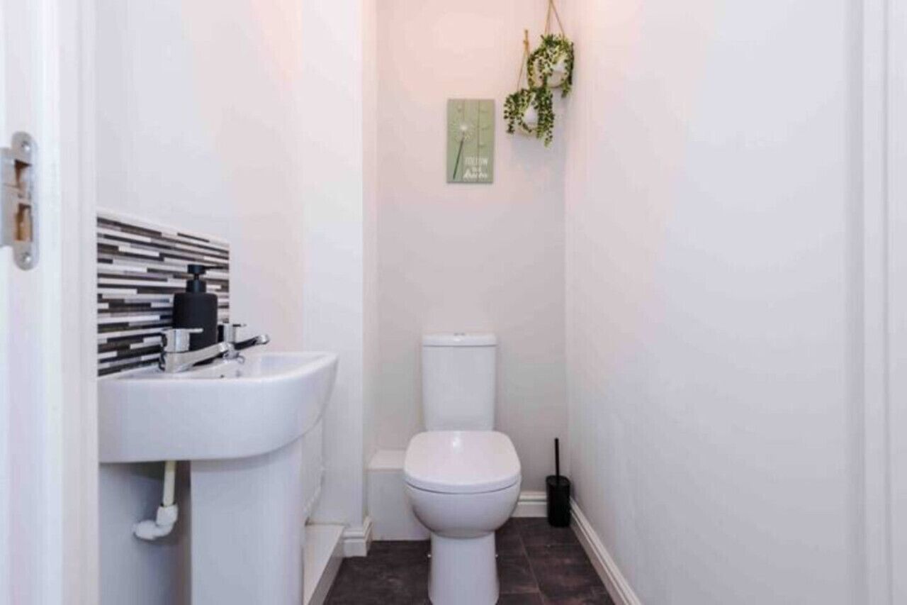 Ein kleines, modernes Badezimmer mit einem weißen Waschbecken, einer Toilette und einer dekorativen Pflanze an der Wand.