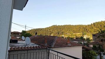 Departamento, para fumadores | 4 habitaciones