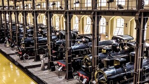 Una vasta esposizione interna di locomotive a vapore d'epoca, disposte in file sotto un'alta volta con ampie finestre ad arco.