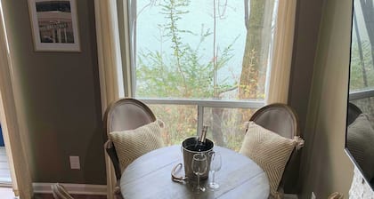 Riverfront Condo in DT