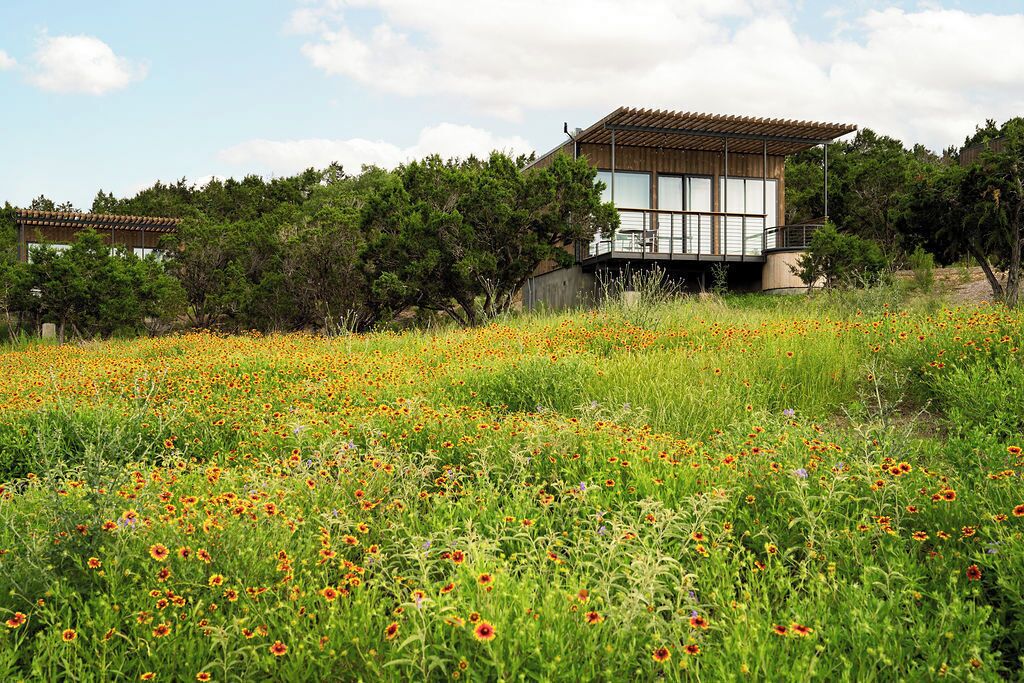 A modern building with a flat roof and large windows, surrounded by a field of wildflowers and trees.