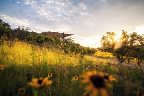 View from room - Onera Wimberley (Wimberley)