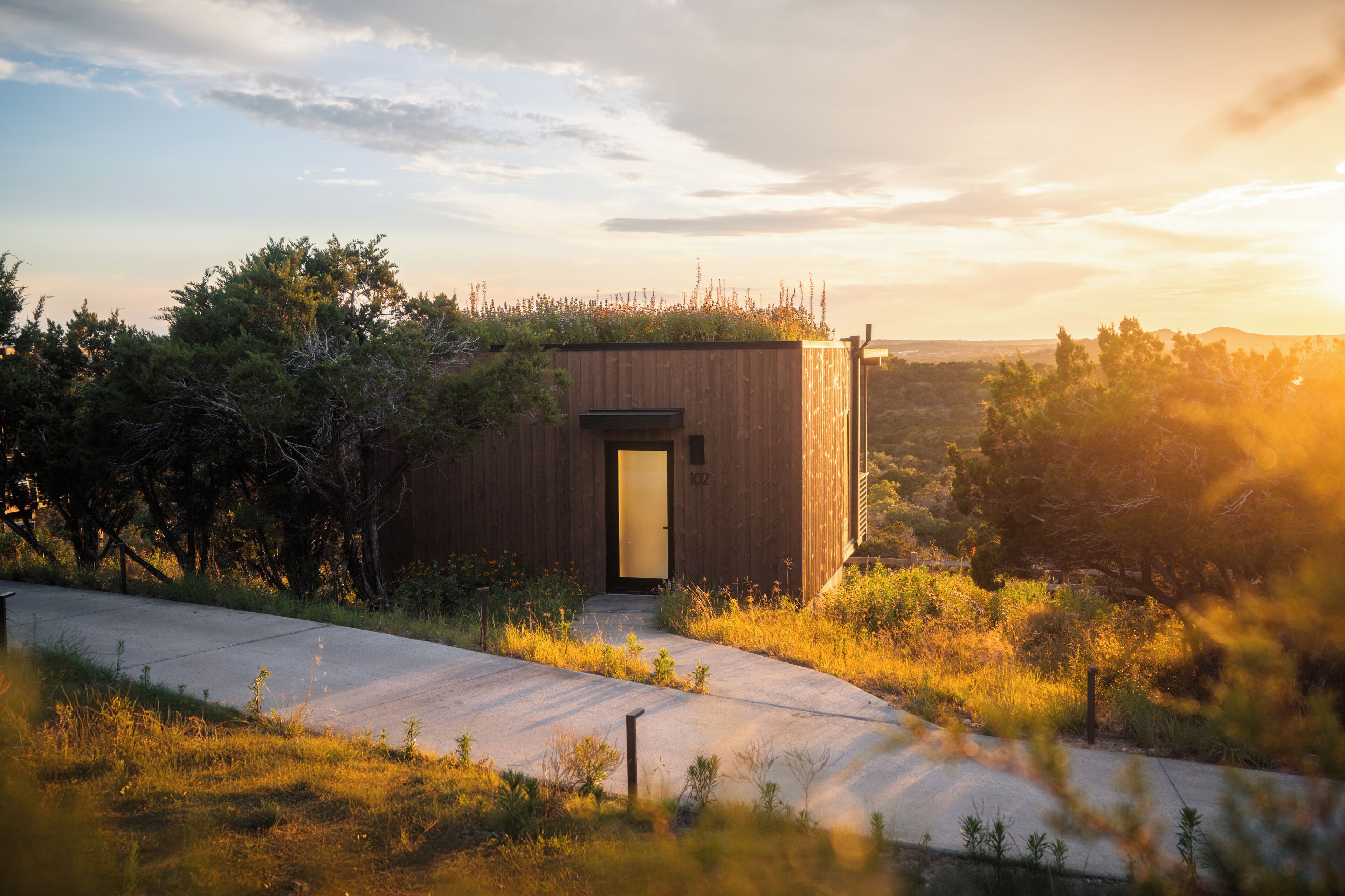 A modern wooden building with a door, surrounded by natural vegetation and a concrete path.