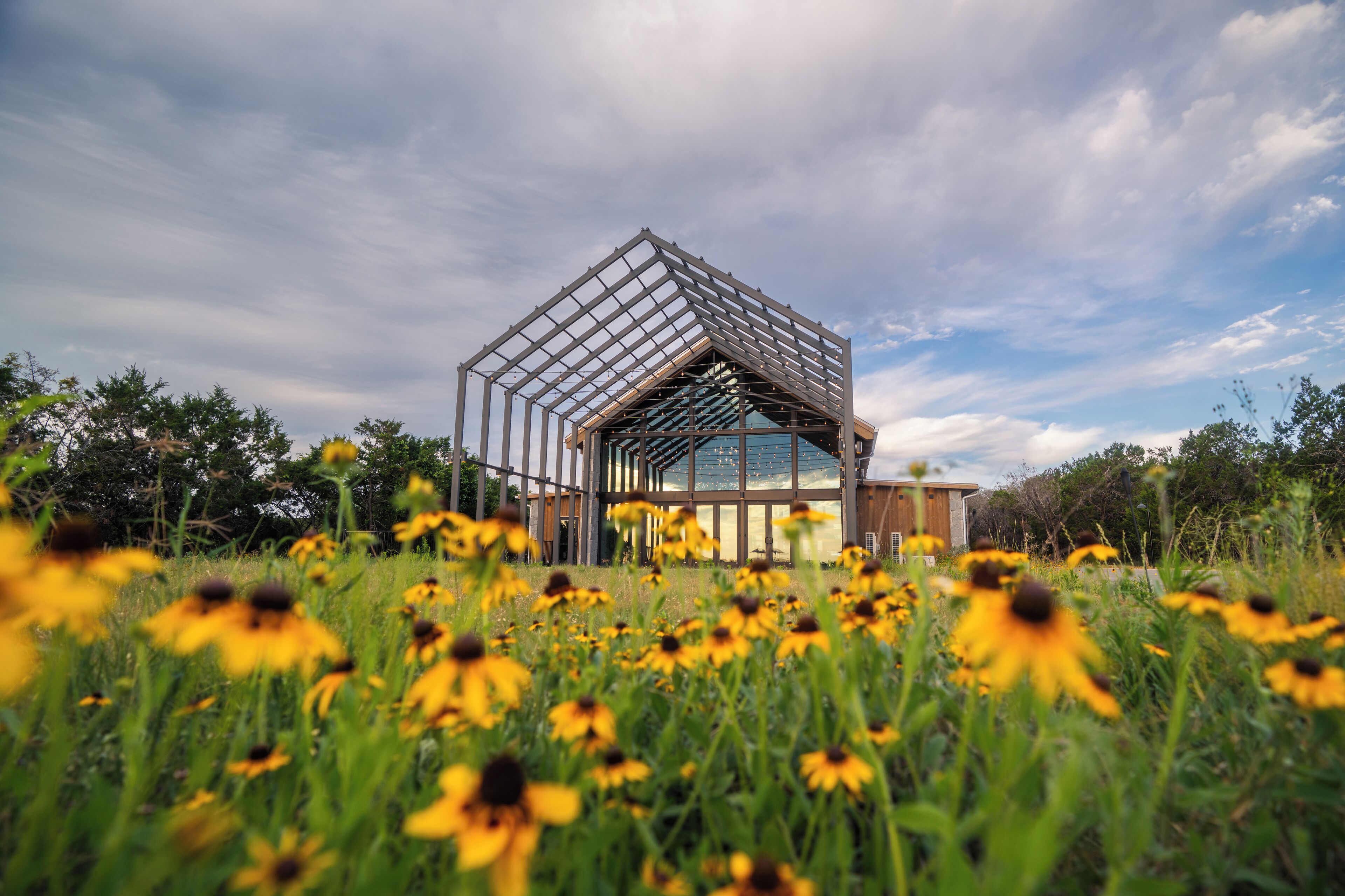 A modern house with a glass facade and a metal frame structure, surrounded by a field of yellow flowers.