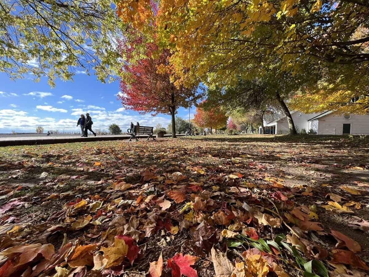 Foto - Sunrise BnB - Free Parking