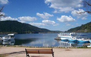 Marina - Spacious apartment, close to skiing and nature ! (Rochesson)