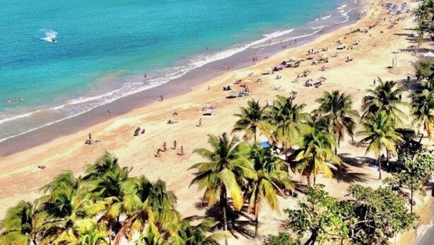 A beach with palm trees, a sandy shore, and a city skyline in the background. - Seaside getaway in Isla Verde beach for 4 guest. Book now! (Carolina)