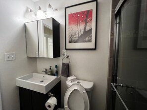 Shower, hair dryer, towels, soap