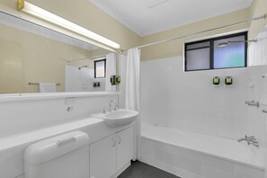 Hair dryer, soap, shampoo, toilet paper