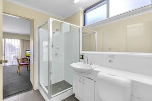 Sèche-cheveux, savon, shampoing, papier toilette