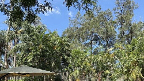 Un espace piscine agrémenté d’une pergola et de sièges.