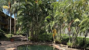 Une piscine entourée d’une végétation luxuriante et bordée d’un chemin en briques.