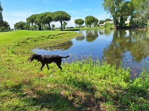 Animaux de compagnie acceptés