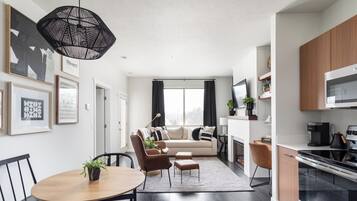 Smart TV, fireplace, books