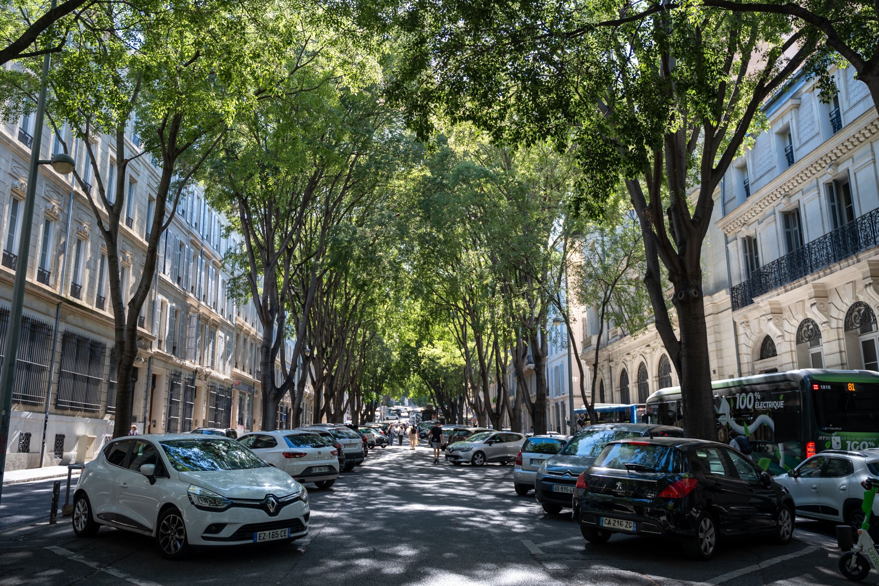 Een straat met bomen, geparkeerde auto's en een bus.