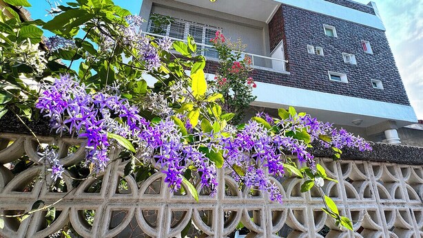 A modern building with a stone facade, a balcony, and purple flowers in front. - Ronchamp Villa (Tainan)