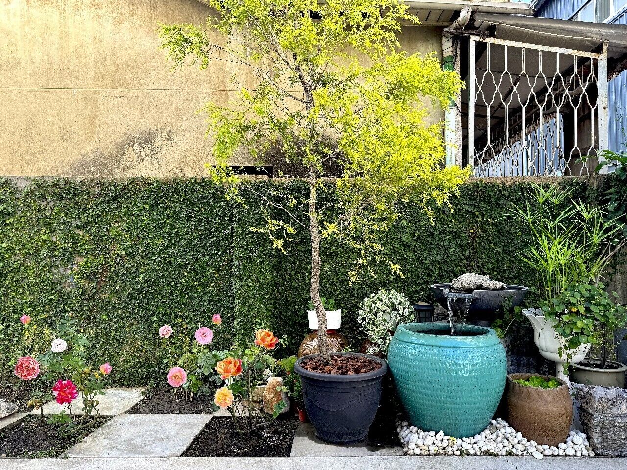 Un jardín con plantas en macetas, un árbol pequeño y una fuente de agua.