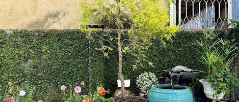 Un jardín con plantas en macetas, un árbol pequeño y una fuente de agua.