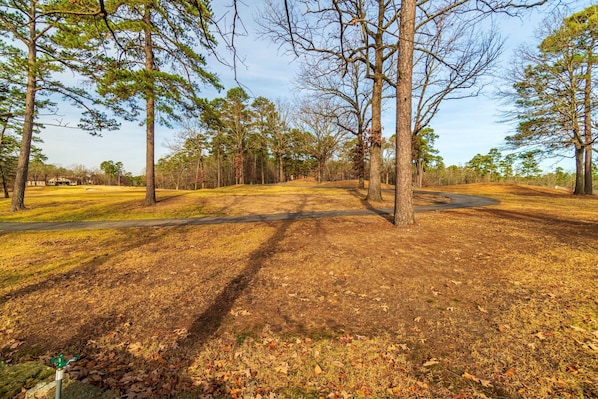 Property grounds - Tee Up on Ponce! (Hot Springs Village)