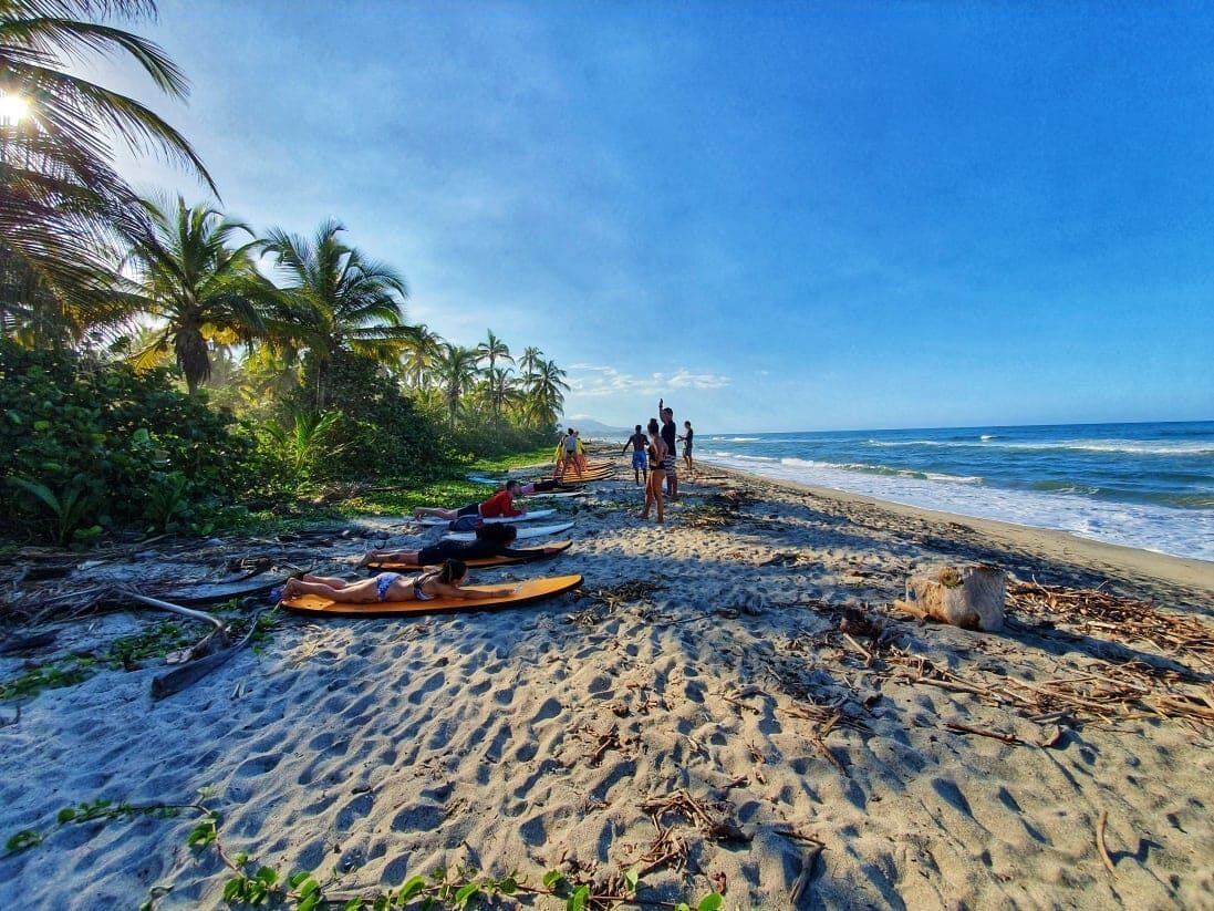 Una playa con palmeras, una orilla arenosa y gente a lo lejos.